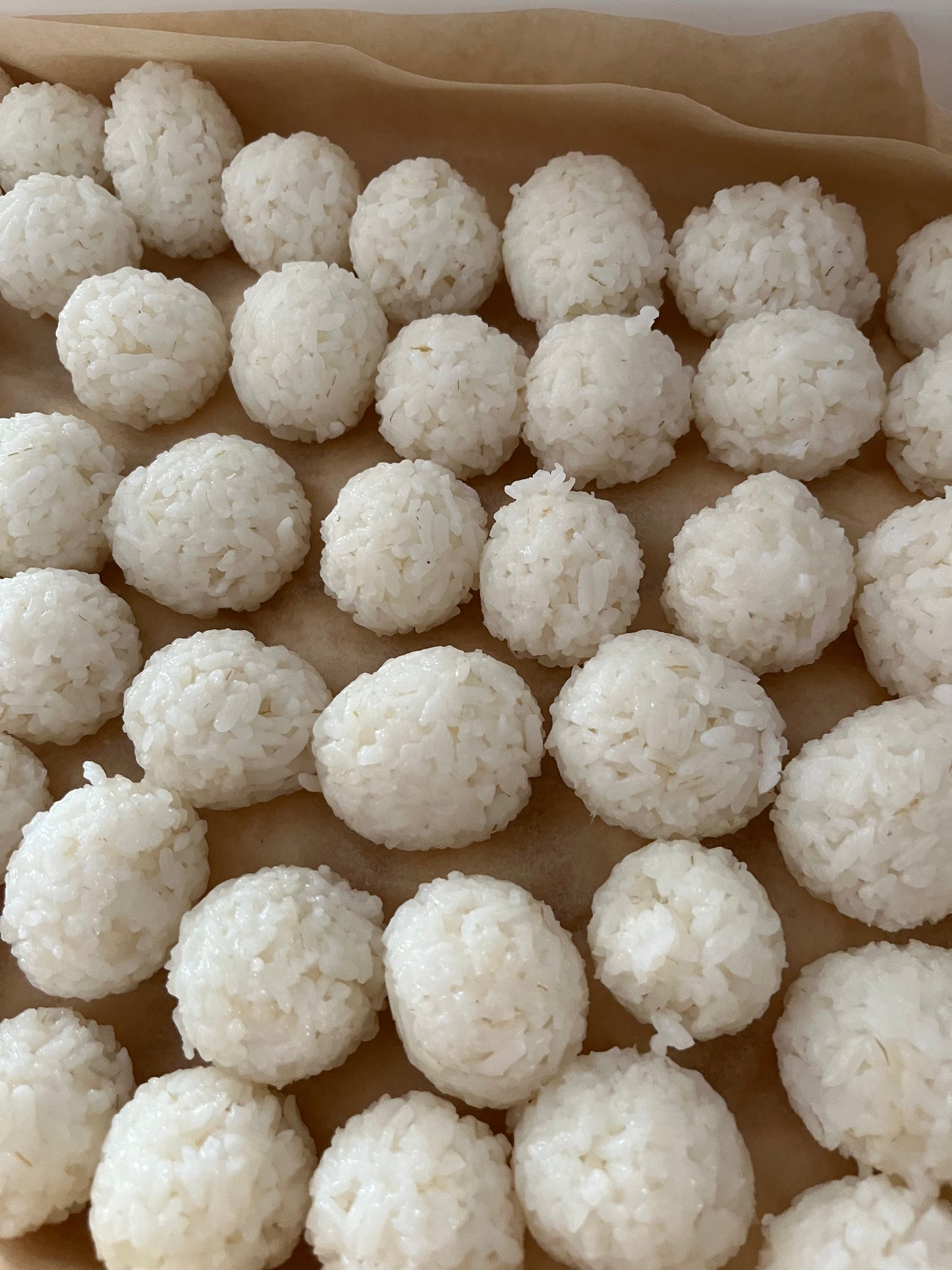 Mini Rice Ball Shaker